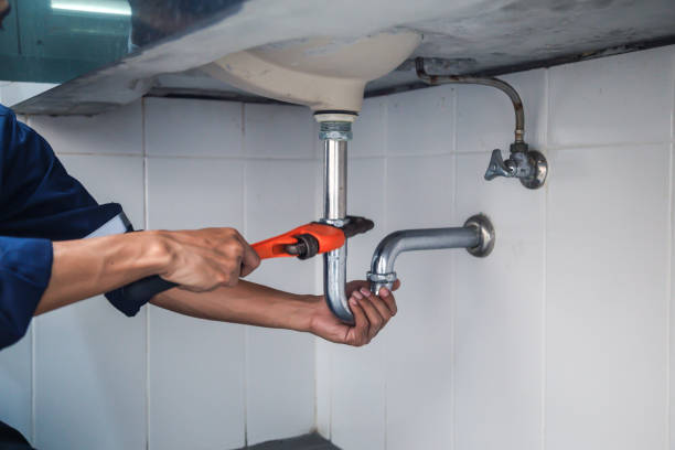Best Clogged Drain Plumber  in Avoca, IA